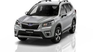 ราคา Subaru Forester : ราคาและตารางผ่อน Subaru Forester เดือน เดือนธันวาคม 2568